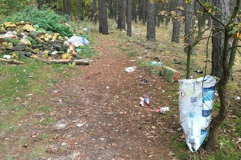 Śmieci w lesie
